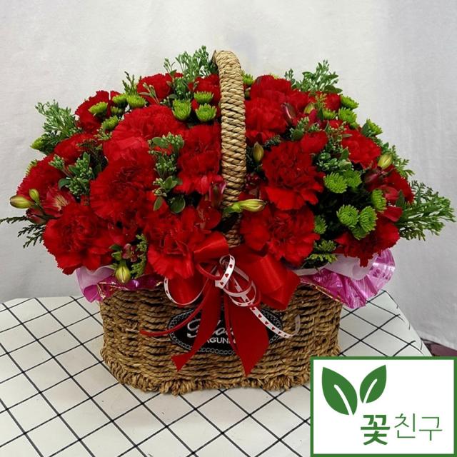 꽃친구 생화 카네이션 꽃바구니 꽃배달 서양란 호접란 만천홍 케이크 꽃 조교님 교수님 부모, M, X