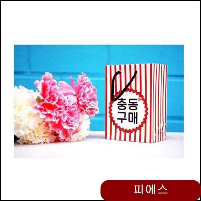 반8 충동구매 쇼핑백 Xs 3매입 5p 고급 미니 쇼핑 특이한쇼핑백 고급쇼핑백 Larq 1개