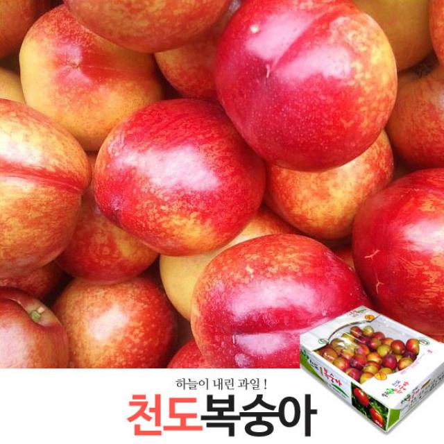 [참다올(CHAMDAOL)] 아침애 천도복숭아(1600g 8-10개), 상세 설명 참조