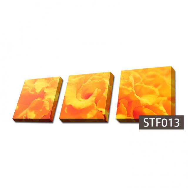 몽차 3분할 캔버스액자 정사각형, STF013