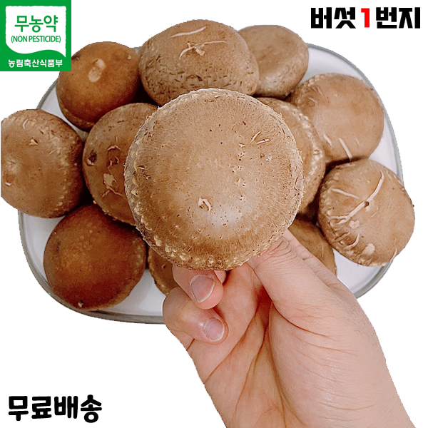 버섯1번지 장흥 무농약 국내산 생 표고버섯 1kg 정품 특상품, 1박스, 1kg