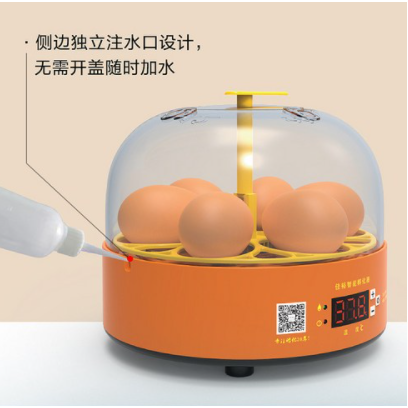 계란부화기 자동 병아리 조류 6란 2021년신상품