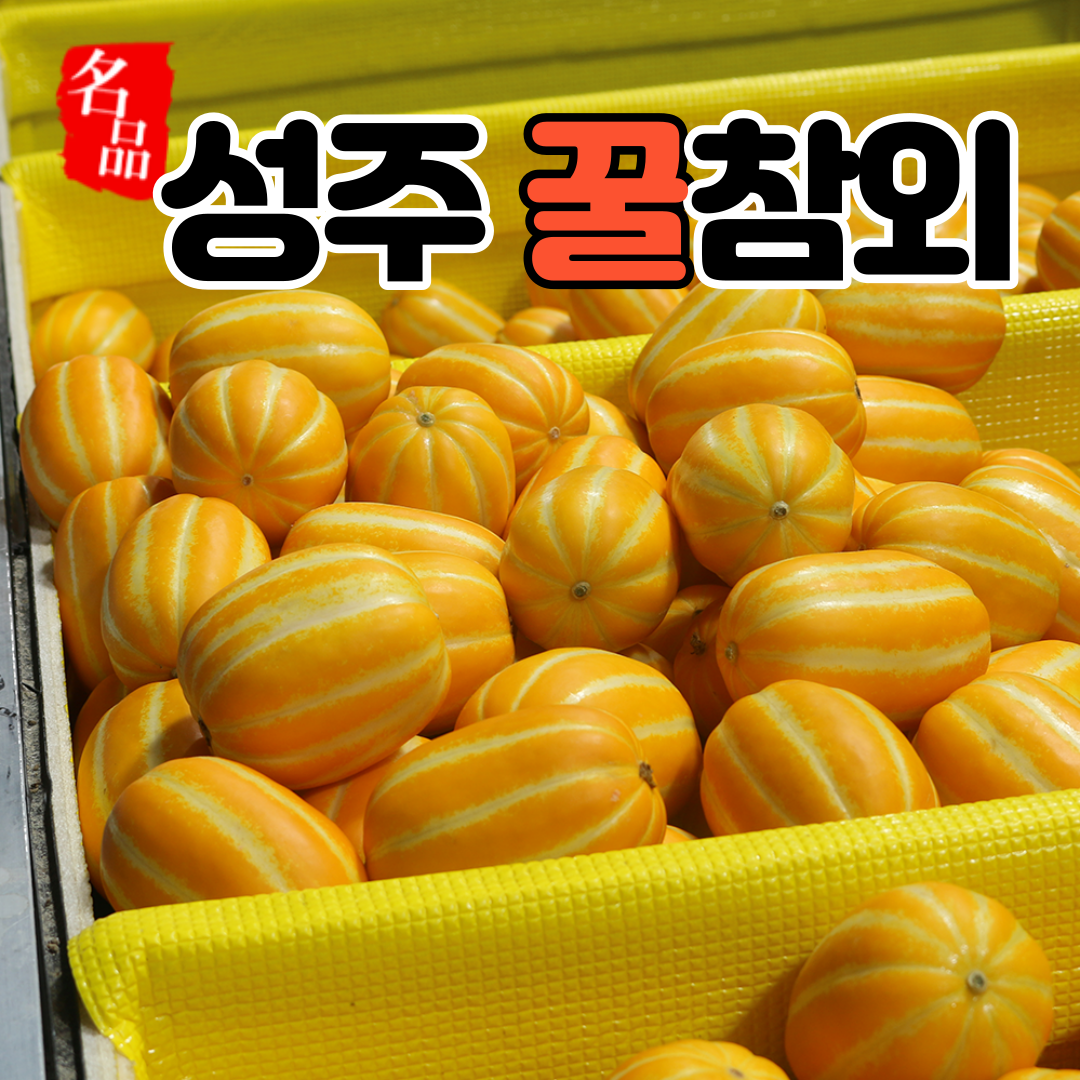 성주 참외 직거래 꿀참외 가정용 백화점 2kg 3kg 5kg 10kg 특 참외 2kg