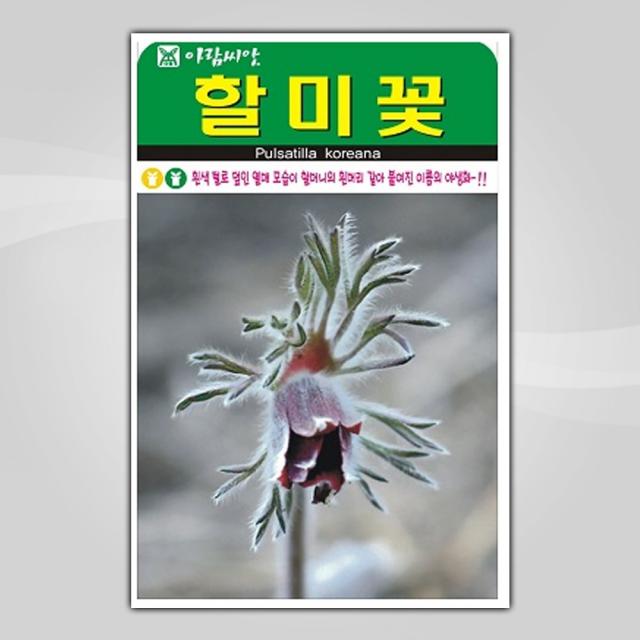 슬로시 꽃 씨앗 모음 꽃씨 허브 허브씨, 할미꽃50립(아람)