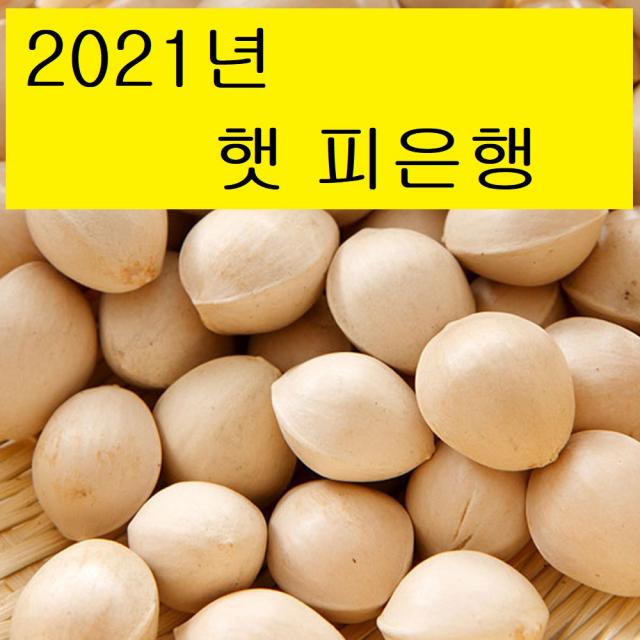 박경철 농장 2021년 햇피은행 (특대/대/중), 피은행/특대 1kg, 1개