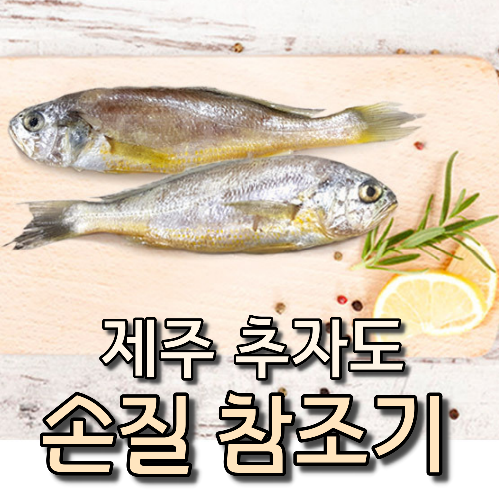 새벽바다 추자도 앞바다에서 잡아올린 제주 참조기 20마리 1200g