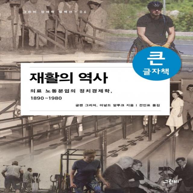 재활의 역사(큰글자책):의료 노동분업의 정치경제학 1890-1980, 그린비