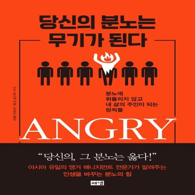 당신의 분노는 무기가 된다:분노에 휘둘리지 않고 내 삶의 주인이 되는 원칙들 해냄출판사 안도슌스케