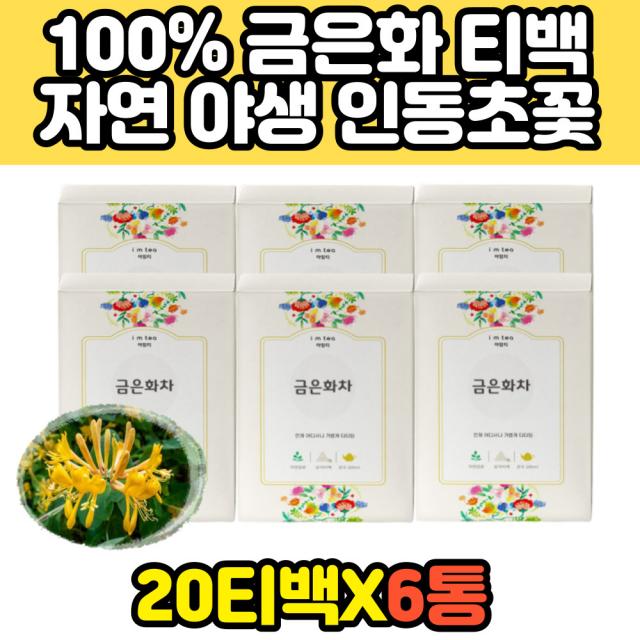 50대 여성 금은하 인동초꽃 추출물 원물 티백 차 효과 효능 건강 허브 추천