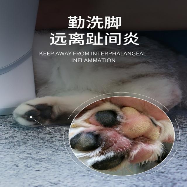 강아지 고양이 애완동물 산책후발 발냄새 닦기 씻기 산책발 자동 발세척기