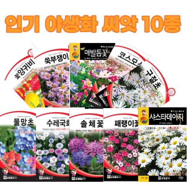 노지 월동 야생화 씨앗 10봉지 1set 모음 매발톱씨앗 코스모스씨앗 물망초씨앗 샤스타데이지씨앗 수레국화씨앗 솔체씨앗 양귀비씨앗