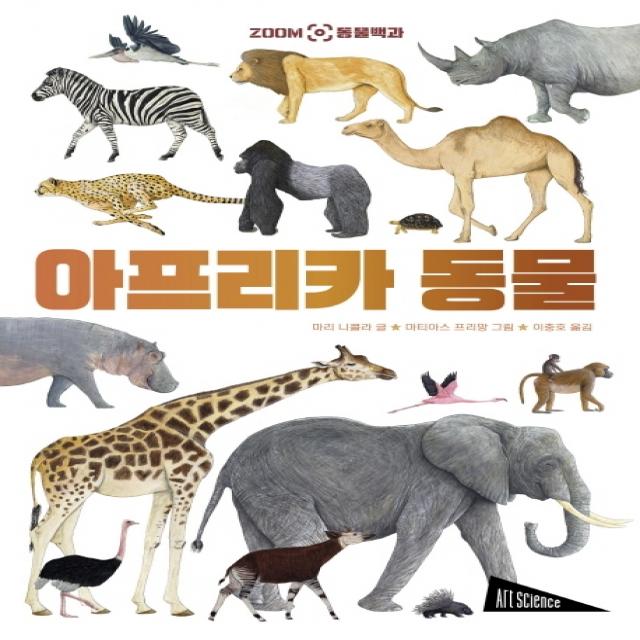 아프리카 동물 보림 마리 니콜라