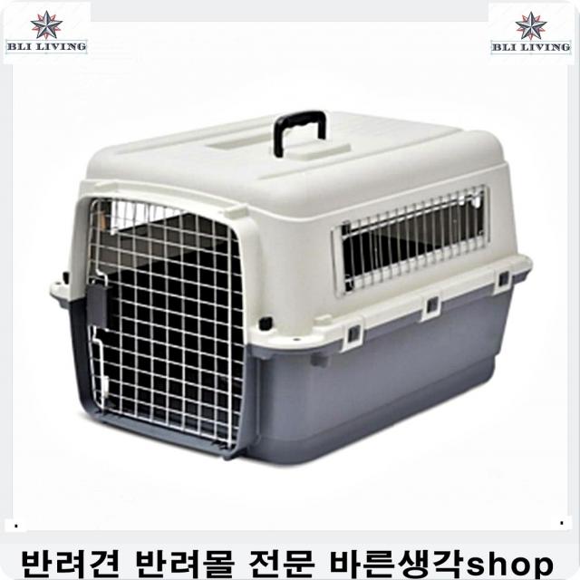 강아지눈물 미세먼지쌓인애완견눈세정하는 3개 강아지녹내장 시츄눈물 강아지눈꼽냄새 말티즈눈물 강아지눈물관리 강아지눈병 푸들눈물, 1개