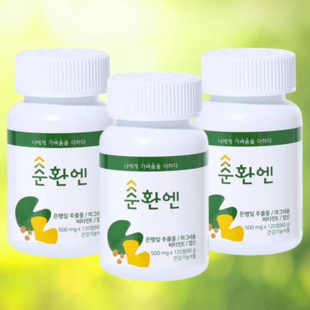 순환엔 약사가 만든 프리미엄 혈액순환영양제 혈행개선제 은행잎추출물 마그네슘, 500mg x 360정(6개월분)