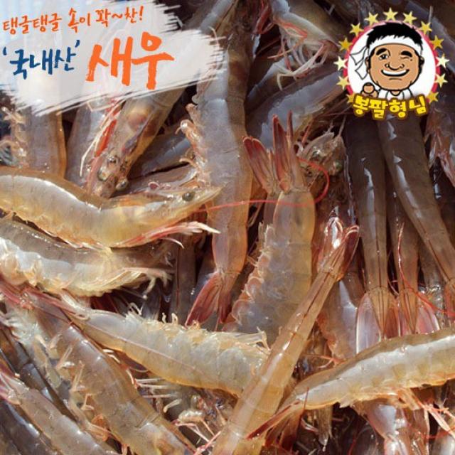 [봉팔형님] 탱글태글 고소한~ 국내산 새우 700g 1kg, 01_국내산 생새우 1kg, 상세설명 참조