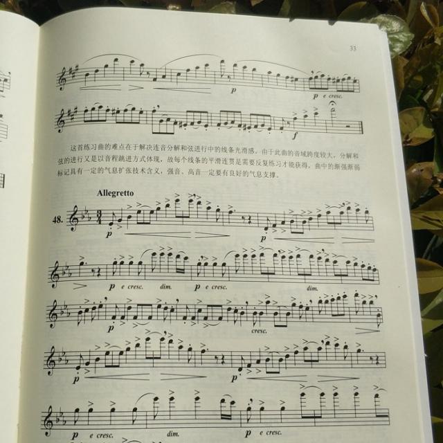 플룻 플루트 초급 강좌(포함 2CD)플루트 곡보 교제 서적 입문 초보자 연습용 곡 상해 음악 출판사, 기본