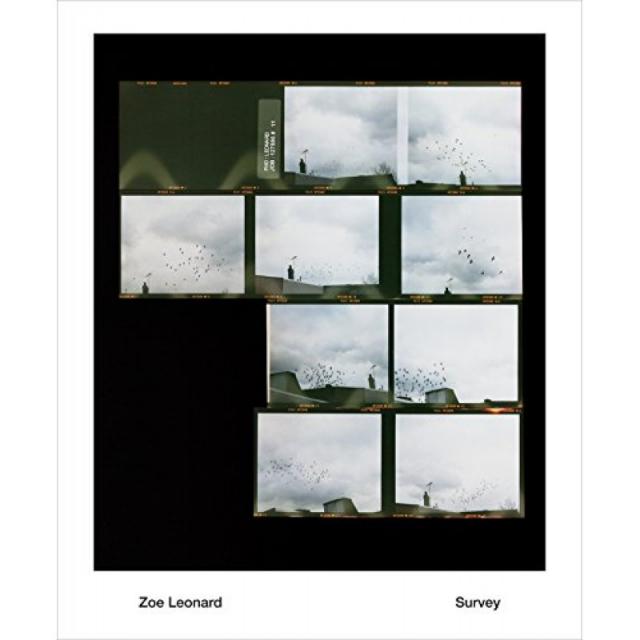 Zoe Leonard : 설문 조사, 단일옵션, 단일옵션