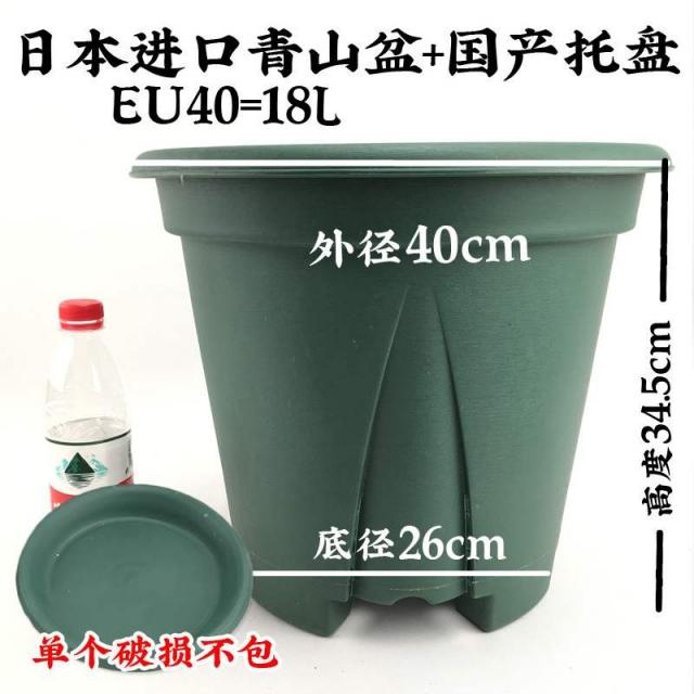 청 산분제근 이대 40CM 빅사이즈 두꺼운 레진 다육 나비 난초, 청 산등성이 EU40 （대야 _받침대