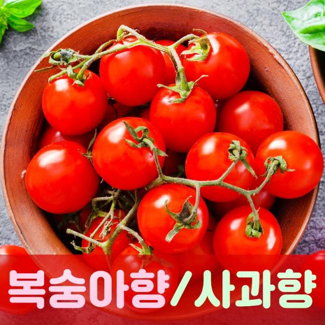 충남 논산 스테비아 대추 방울 토마토 샤인마토 복숭아향 사과향 3종 토망고 1kg 2kg, 1. 스테비아 방울 토마토 500g*2팩(1kg)