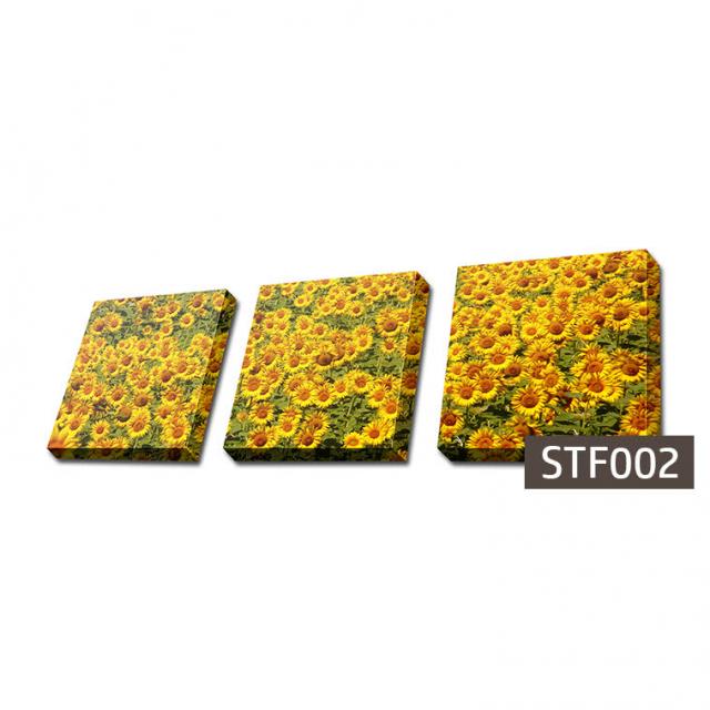 몽차 3분할 캔버스액자 정사각형, STF002