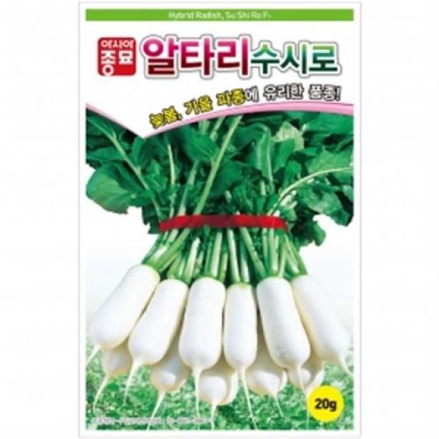 (아시아종묘/무씨앗종자) 수시로알타리(20g)