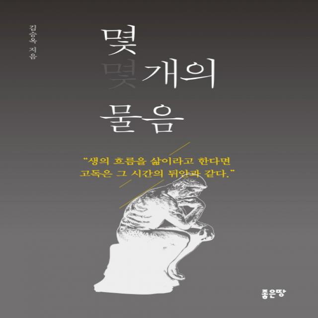 몇 개의 물음:생의 흐름을 삶이라고 한다면 고독은 그 시간의 뒤안과 같다, 좋은땅