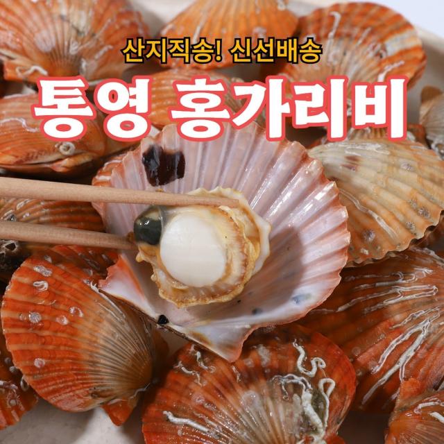 산지직송 통영 홍가리비 조개찜 조개구이, 통영 홍가리비 10kg