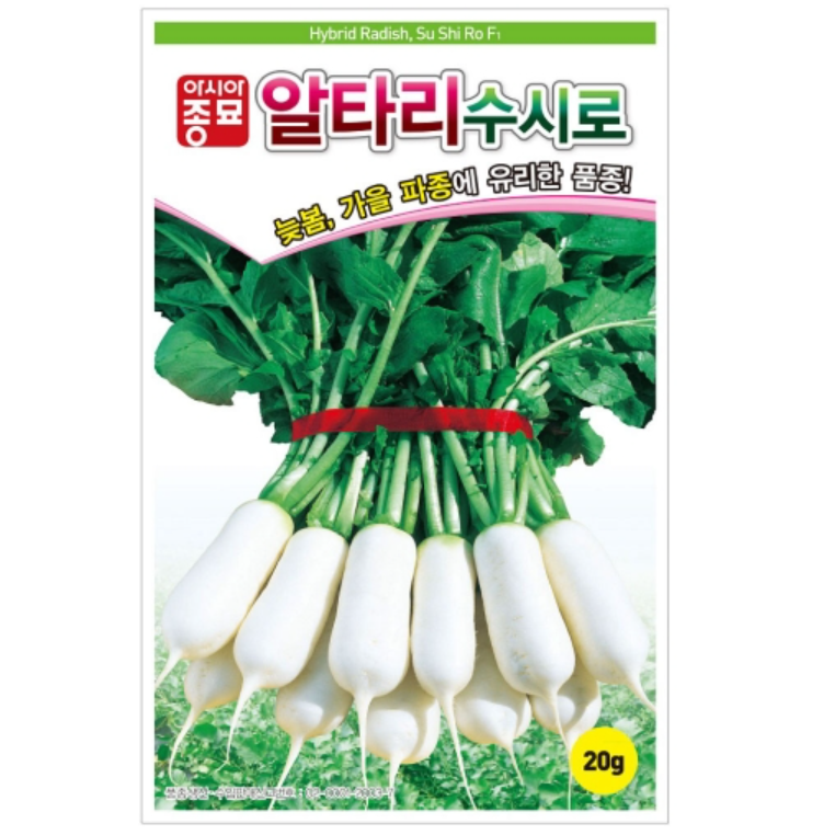 무씨앗종자) 수시로알타리(20g) S1131