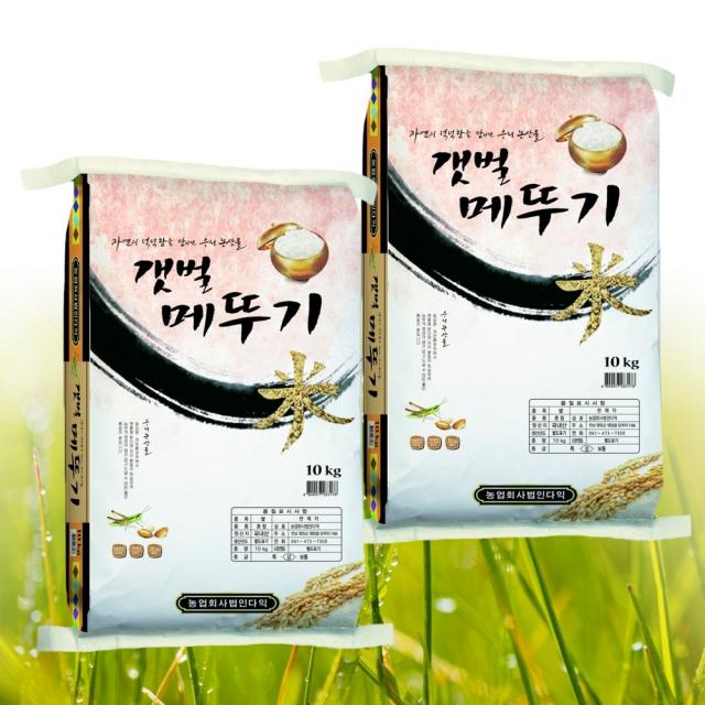 쌀 2022년도 햅쌀 갯벌 메뚜기쌀 20kg(10kg2개) 맛있는쌀, 단품