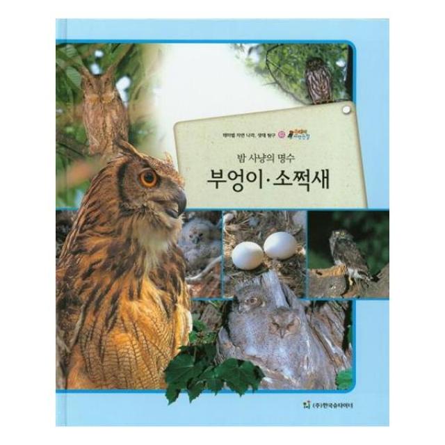 올빼미 자연관찰 63 밤 사냥의 명수 부엉이 소쩍새 (조류)