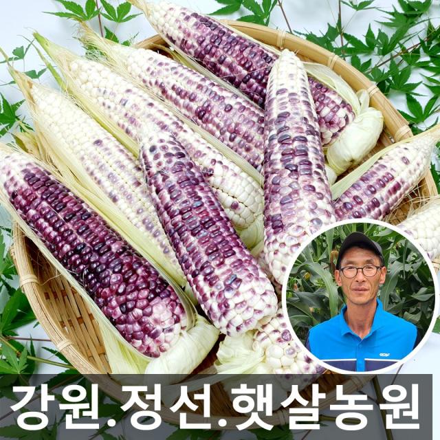 햇살농원 무농약 강원 정선 생 흑찰옥수수, 30개, 햇살농원 정선 흑찰옥수수