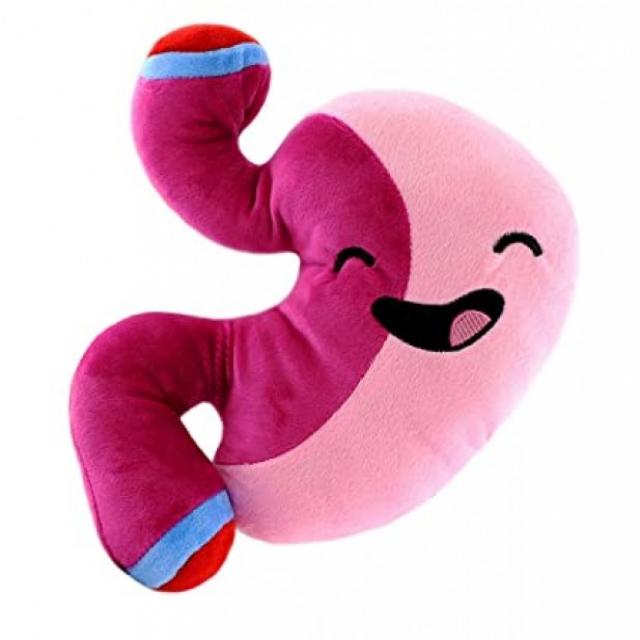 Attatoy Plush Stomach-Barry The Sleeve-봉제 완구 수술 후 10 인치 Pal Bariatric 위 우회 슬리브; 외과 교육 외과 의사 선물; 위장병 학 교육