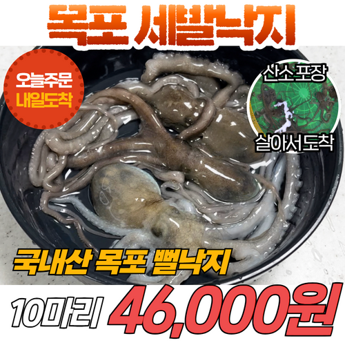 [당일신선생물] 목포 세발낙지 10마리 마리당 30~60g 국내산 뻘낙지 서남해안 갯벌 낙지 산소포장