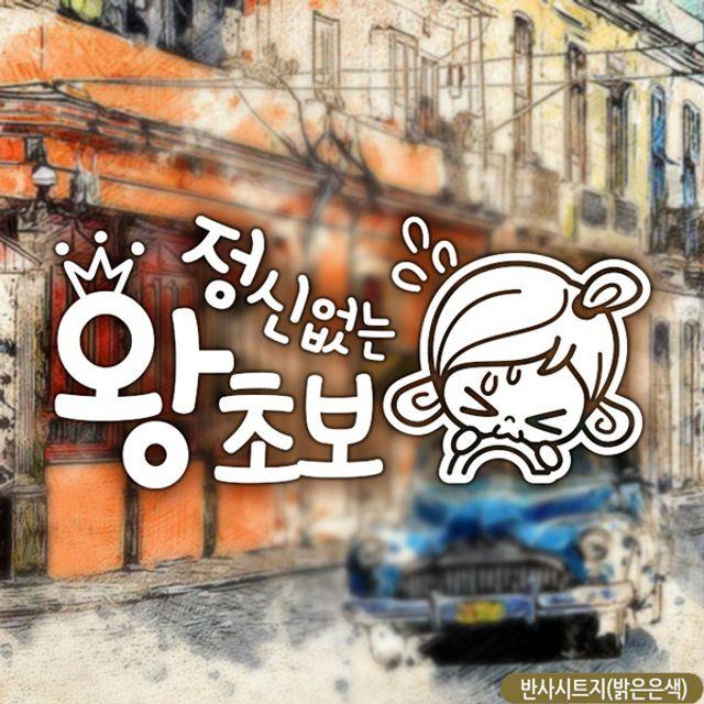 H무배 초순이 정신없는왕초보 초보자동차스티커-반사 // 용품 초보운전 익스테리어, 1개