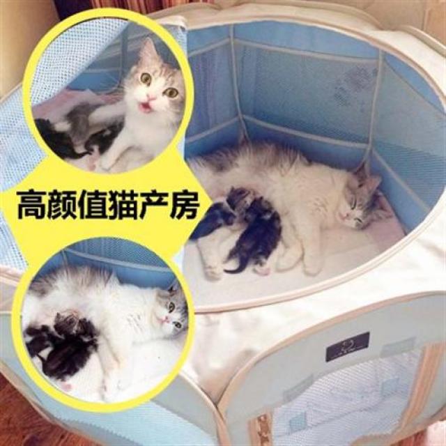 강아지고양이집 A4Pet 고양이 산실 애묘집 폐쇄형 여름 고양이 텐트 개집산함 고양이 임신용품, 07 스카이+캐슬 캣츠