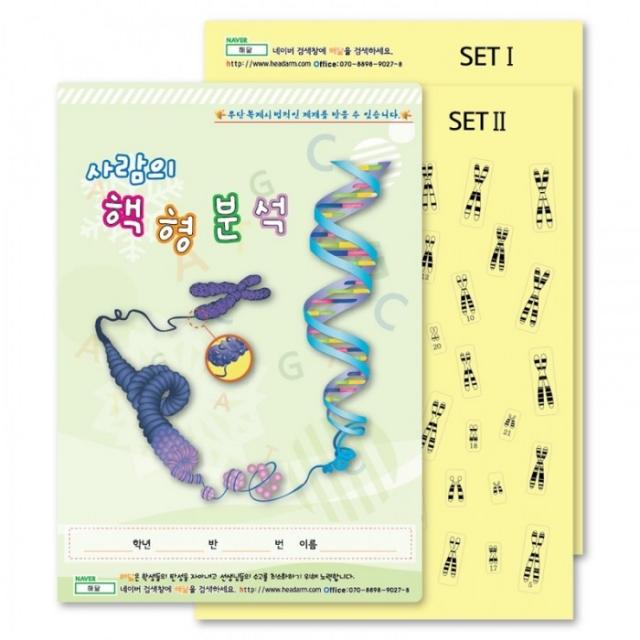 사람의 핵형분석 (35인용)