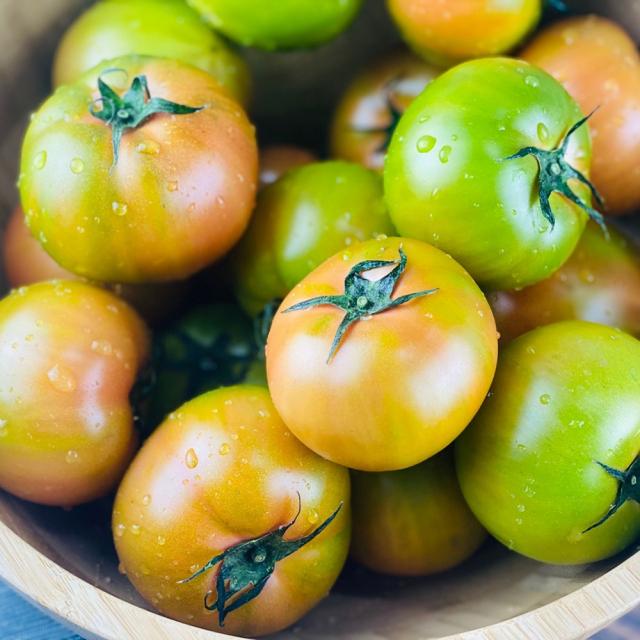 부산 대저 토마토 대저 짭짤이 2.5kg (당일배송), 대저 랜덤혼합(2S-2L)