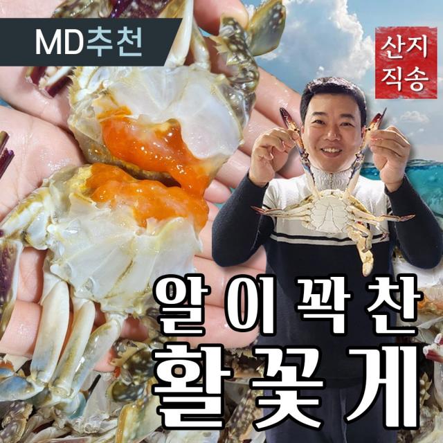 [산지직송] 최고급 활 꽃게 알배기 암꽃게 서해안 태안 알배기 생물 암게 특등급 봄 제철 신진도 국내산 하이푸드랩 간장게장, 활 암꽃게 소(4~6미) 1kg