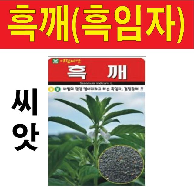흑깨씨앗 1000알 깨씨앗 검정깨 흑임자깨 흑임자 씨앗
