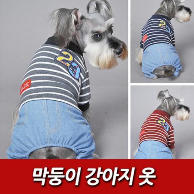 막둥이 강아지 옷, 네이비L