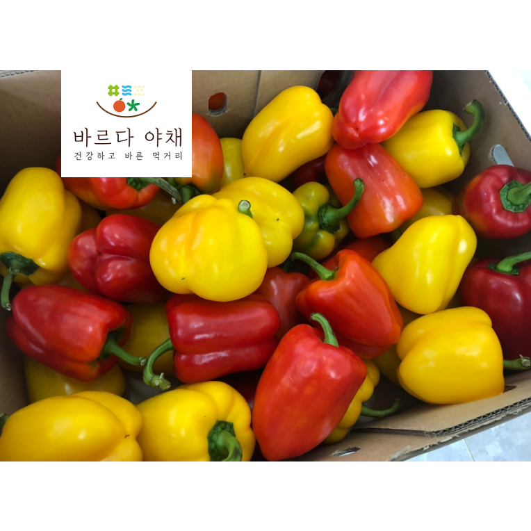 바르다야채 혼합파프리카(빨+노) 1kg. 3kg, 5kg