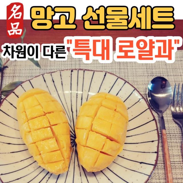 (특대 로얄과) 프리미엄 명품 망고 태국 태국산 항공 항공직송 항공직수입 고당도 후숙 생 망고 태국망고 골드망고 생망고 황제망고 Mango 선물 세트 선물세트 2.5kg 5kg, (1) 태국 골드망고 2.5kg (5과)