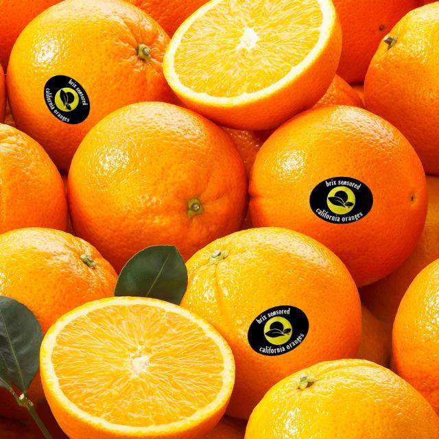 고당도 블랙라벨 오렌지 20개입(150g내외), 단품