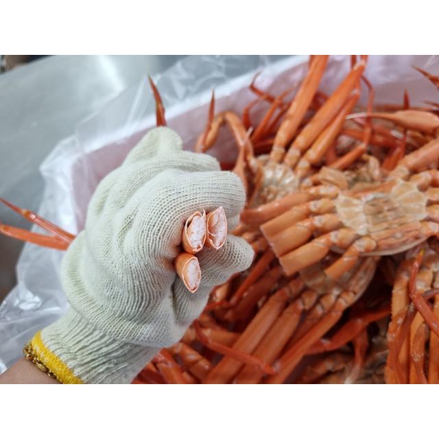 국내산 홍게 3kg 쿠팡 오픈 기념 이벤트 자숙비 무료, 무료배송, 1세트