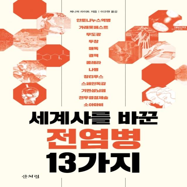 세계사를 바꾼 전염병 13가지, 산처럼