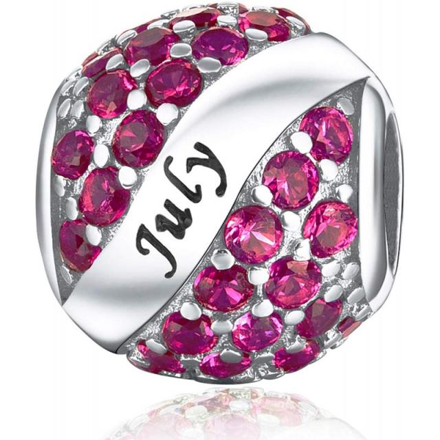 Birthstone Charms for Charms 브레이슬릿 - 925 스털링 실버 비즈 구명정 Openwork Charms Birthday Ch