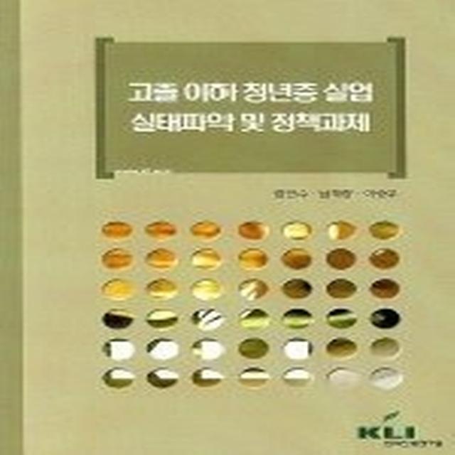 고졸 이하 청년층 실업 실태파악 및 정책과제, 한국노동연구원