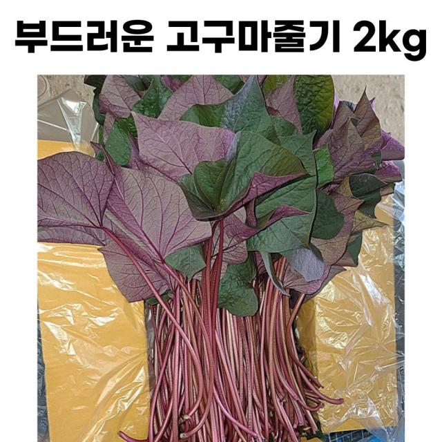 [무료배송] 껍질째 먹는 고구마줄기 국산 산지직송 고구마 순 줄거리 2kg