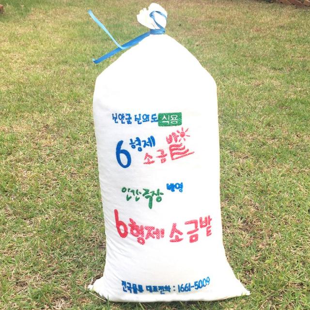 국산 신안 신의도 6형제 천일염 20kg 2021년 생산 쓴맛이 없는 깨끗한 육형제 소금