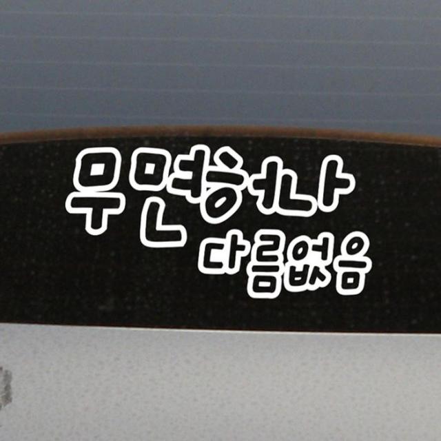 [뭉키데코] 자동차스티커1_LSC-017_초보운전무면허나 다름없음, 화이트 (28456857)